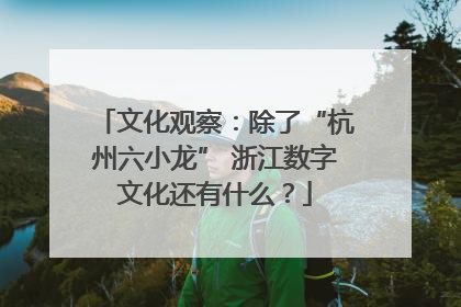 文化观察：除了“杭州六小龙” 浙江数字文化还有什么？