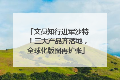 文员知行进军沙特！三大产品齐落地，全球化版图再扩张
