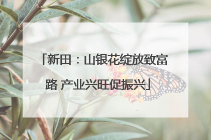 新田：山银花绽放致富路 产业兴旺促振兴