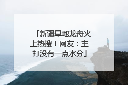新疆旱地龙舟火上热搜！网友：主打没有一点水分
