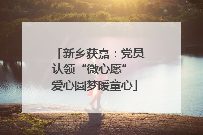 新乡获嘉：党员认领“微心愿” 爱心圆梦暖童心