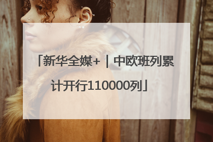 新华全媒+｜中欧班列累计开行110000列