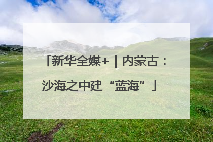 新华全媒+｜内蒙古：沙海之中建“蓝海”