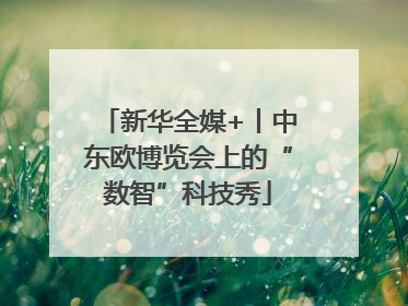 新华全媒+丨中东欧博览会上的“数智”科技秀