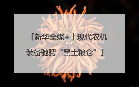新华全媒+丨现代农机装备驰骋“黑土粮仓”