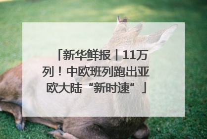 新华鲜报丨11万列！中欧班列跑出亚欧大陆“新时速”