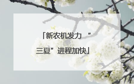 新农机发力 “三夏”进程加快