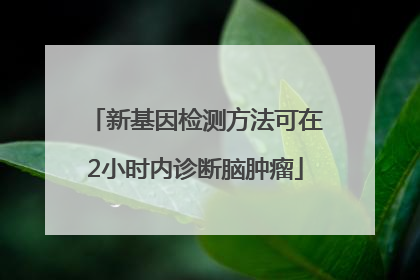 新基因检测方法可在2小时内诊断脑肿瘤