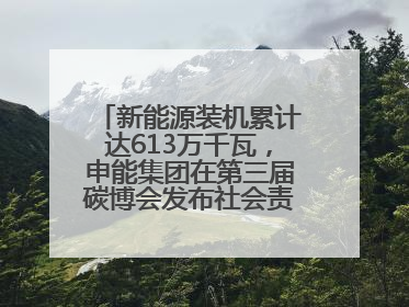 新能源装机累计达613万千瓦，申能集团在第三届碳博会发布社会责任报告