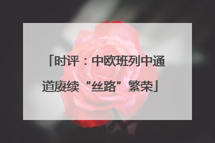 时评：中欧班列中通道赓续“丝路”繁荣