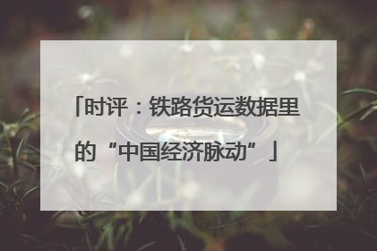 时评：铁路货运数据里的“中国经济脉动”
