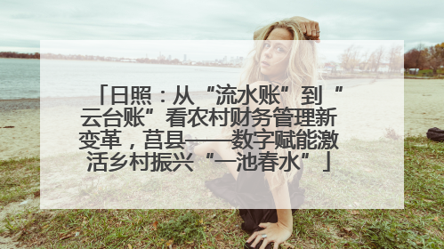 日照：从“流水账”到“云台账”看农村财务管理新变革，莒县——数字赋能激活乡村振兴“一池春水”