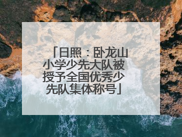 日照：卧龙山小学少先大队被授予全国优秀少先队集体称号