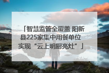 智慧监管全覆盖 阳新县225家集中用餐单位实现“云上明厨亮灶”