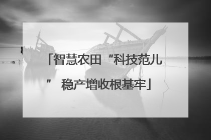 智慧农田“科技范儿” 稳产增收根基牢