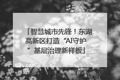 智慧城市先锋！东湖高新区打造“AI守护”基层治理新样板