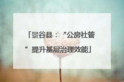 景谷县：“公房社管”提升基层治理效能