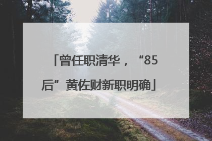 曾任职清华，“85后”黄佐财新职明确