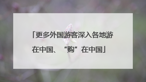 更多外国游客深入各地游在中国、“购”在中国