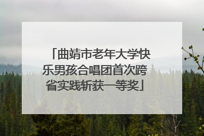 曲靖市老年大学快乐男孩合唱团首次跨省实践斩获一等奖