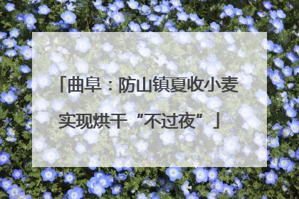 曲阜：防山镇夏收小麦实现烘干“不过夜”