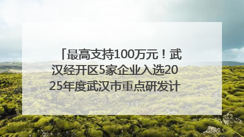 最高支持100万元！武汉经开区5家企业入选2025年度武汉市重点研发计划拟立项项目名单