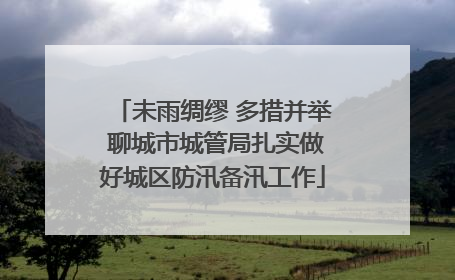 未雨绸缪 多措并举 聊城市城管局扎实做好城区防汛备汛工作