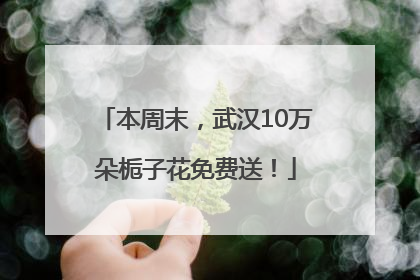 本周末，武汉10万朵栀子花免费送！