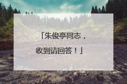 朱俊亭同志，收到请回答！