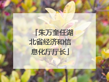 朱万奎任湖北省经济和信息化厅厅长