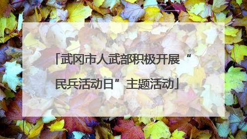 武冈市人武部积极开展“民兵活动日”主题活动