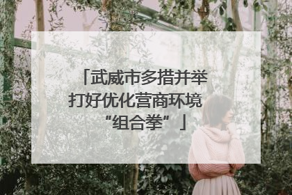 武威市多措并举打好优化营商环境“组合拳”