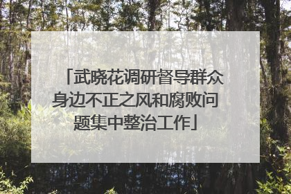 武晓花调研督导群众身边不正之风和腐败问题集中整治工作