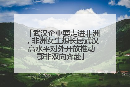 武汉企业要走进非洲，非洲女生想长居武汉 高水平对外开放推动鄂非双向奔赴