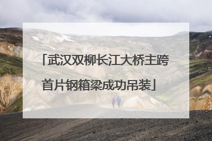 武汉双柳长江大桥主跨首片钢箱梁成功吊装