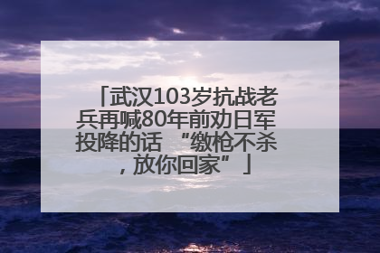 武汉103岁抗战老兵再喊80年前劝日军投降的话 “缴枪不杀，放你回家”