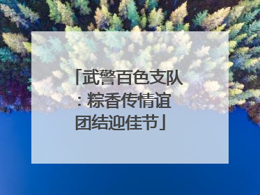 武警百色支队：粽香传情谊 团结迎佳节