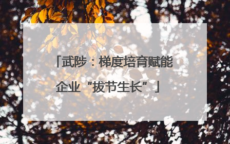 武陟：梯度培育赋能企业“拔节生长”