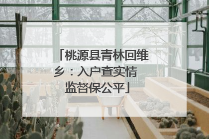 桃源县青林回维乡：入户查实情 监督保公平