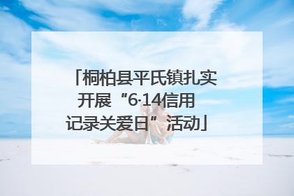 桐柏县平氏镇扎实开展“6·14信用记录关爱日”活动