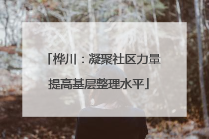桦川：凝聚社区力量 提高基层整理水平