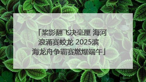 桨影翻飞决毫厘 海河浪涌赛蛟龙 2025滨海龙舟争霸赛燃爆端午