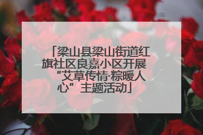 梁山县梁山街道红旗社区良嘉小区开展“艾草传情·粽暖人心”主题活动