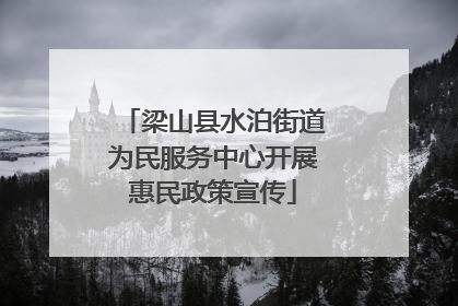 梁山县水泊街道为民服务中心开展惠民政策宣传