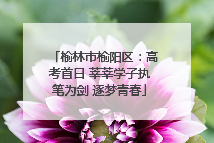 榆林市榆阳区：高考首日 莘莘学子执笔为剑 逐梦青春