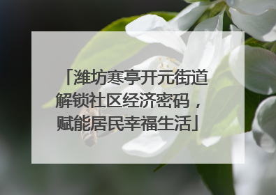 潍坊寒亭开元街道解锁社区经济密码，赋能居民幸福生活