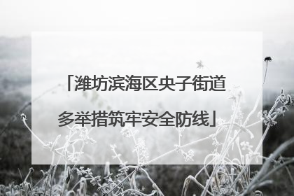 潍坊滨海区央子街道多举措筑牢安全防线