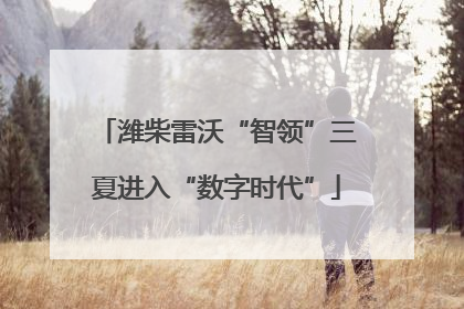 潍柴雷沃“智领”三夏进入“数字时代”