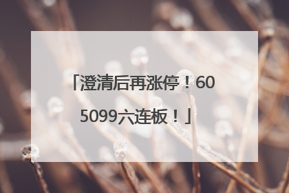 澄清后再涨停！605099六连板！