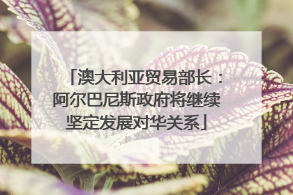 澳大利亚贸易部长：阿尔巴尼斯政府将继续坚定发展对华关系